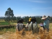 ricercatori_al_lavoro_nei_campi_in_etiopia