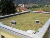 tetto verde istituto floriani