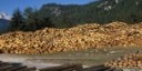 Le zone montane e le biomasse da lignosi