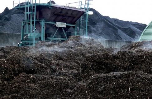 Le biomasse sono eco, ma solo se davvero si garantisce la filiera corta