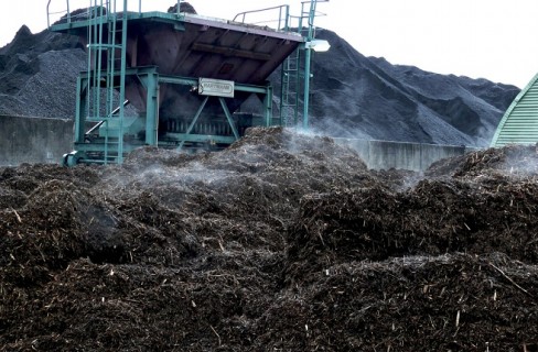 Biomasse, sviluppo con il freno a mano tirato