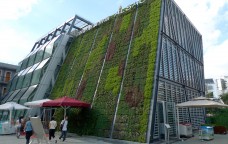 Green marketing. Green technology. Green business.