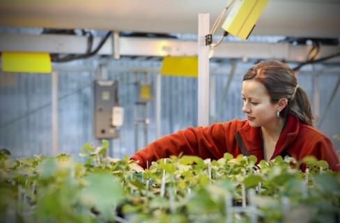 Le prospettive delle biomasse da scarti alimentari