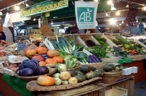 L’orto fai da te per mangiare sano