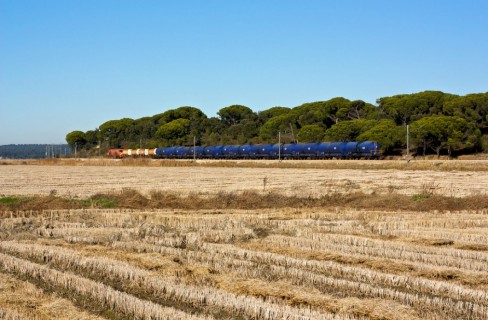 Biocarburanti, la ricerca fa passi da gigante