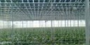 Il fotovoltaico per l’agricoltura