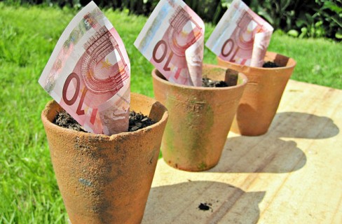 Il credito cooperativo sostiene la Green economy