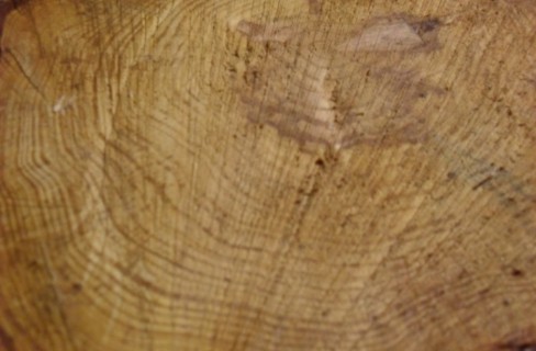 Legno: come nasce una parete