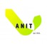 logo di A.N.I.T.