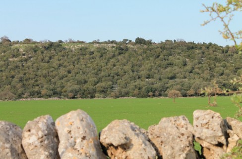 L’efficienza energetica incontra il biologico