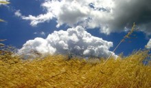 Agroalimentare e agroenergie: nuova certificazione