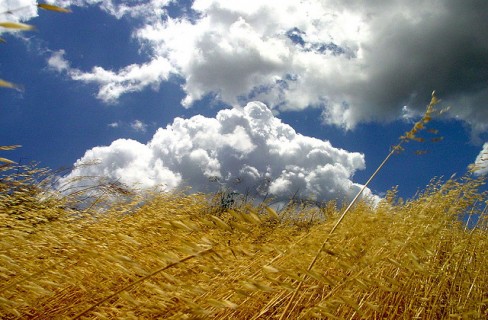 Agroalimentare e agroenergie: nuova certificazione