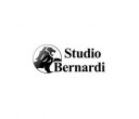 logo aziendale di Studio Tecnico Bernardi