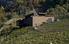 Quando la cantina è “eco”