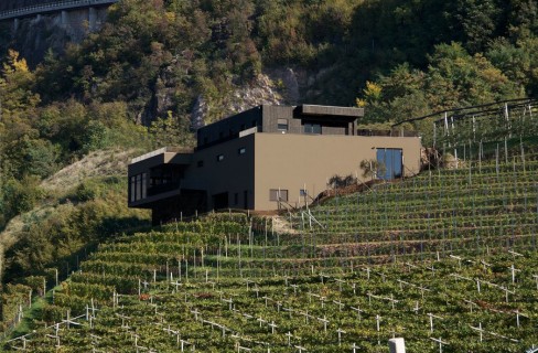 Quando la cantina è “eco”