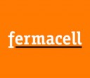 logo aziendale di Fermacell