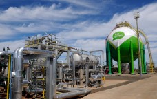 Le bioplastiche che cambieranno l’economia