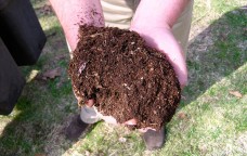20 anni di compostaggio in Italia