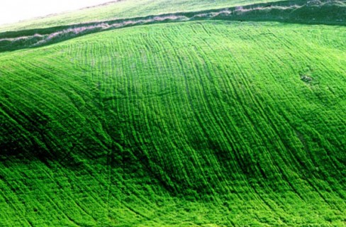 Natura e agricoltura per un futuro sostenibile