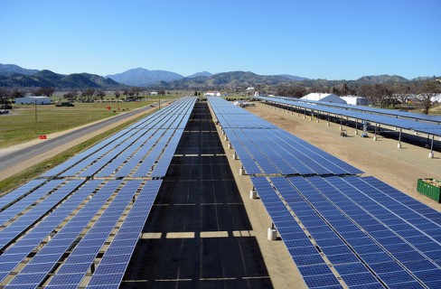 Il futuro è roseo per le energie “verdi”