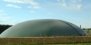 La canna può essere un’alternativa per il biogas