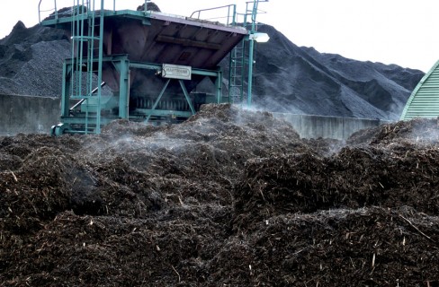 Biomasse, gli incentivi spingono la piccola taglia