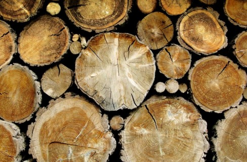 Legno-energia: settore delle biomasse in crescita