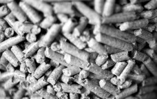 Pellet, un successo pieno di dubbi