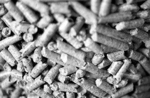 Pellet, un successo pieno di dubbi