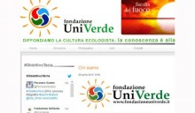 Gli italiani e il solare, tutti i dati in un incontro di Fondazione UniVerde e IPR