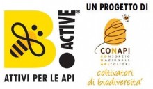 Conapi, campagna “Bee Active! Attivi per le api”