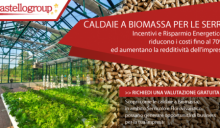 Caldaie a biomassa per le serre: opportunità di business