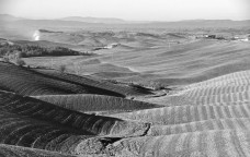 Le filiere dimenticate del successo verde