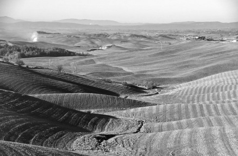 Le filiere dimenticate del successo verde