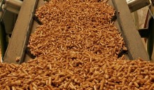 Pellet, ecco come aumentare la produzione nazionale