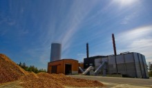 Enel pensa a una riconversione a biomassa per alcuni suoi vecchi impianti