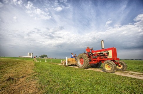 I vantaggi di fare efficienza energetica in agricoltura