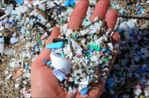 Plastiche all’ assalto degli ecosistemi