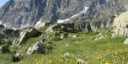 Sila e Monviso riserve della biosfera Unesco 