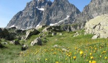 Sila e Monviso riserve della biosfera Unesco