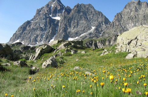 Sila e Monviso riserve della biosfera Unesco