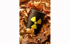 Nucleare senza casa