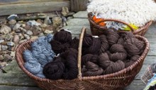 Vita nuova per la lana toscana