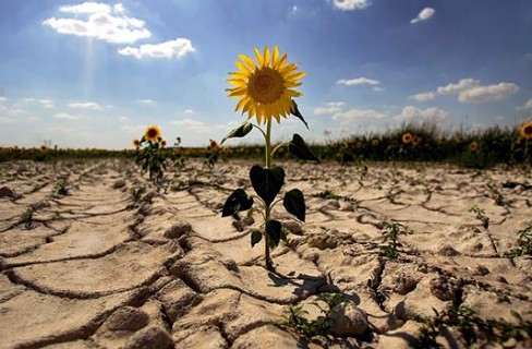 Più vicina una soluzione per il clima