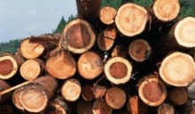 Biomasse, i produttori di mobili contestano gli usi energetici
