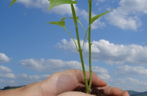 “La green economy è il nuovo modello di sviluppo”