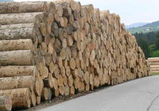 La Edilegno al lavoro con il Consorzio Filiera Legno Veneto