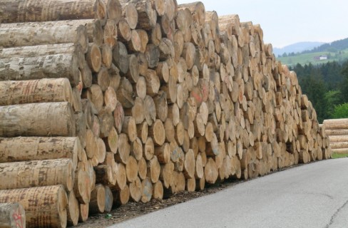 Legno in energia, Fiper invoca chiarezza