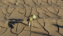 Cattivo clima per l’agricoltura