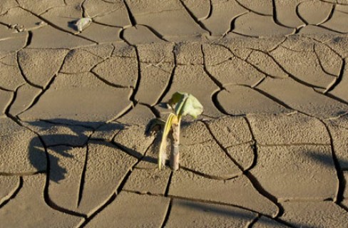 Cattivo clima per l’agricoltura